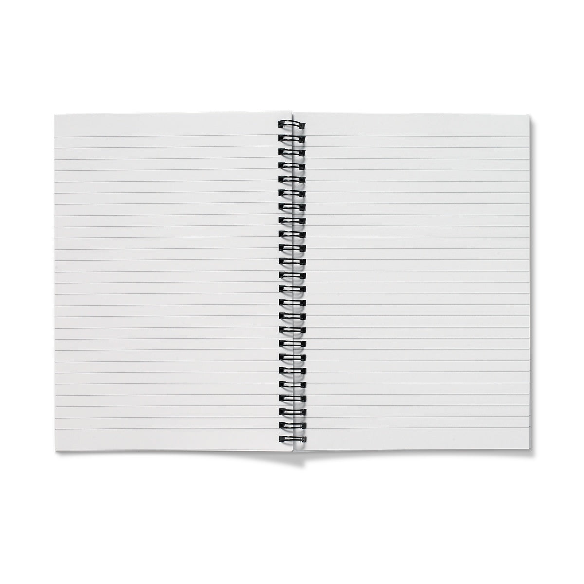 He Lies Again! Notebook
